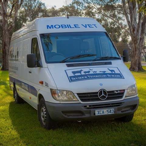 Photo: Seymour Veterinary Surgery Photo: Seymour Veterinary Surgery